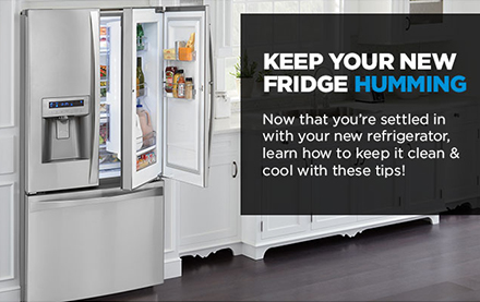 Sears Kitchen Appliance Email